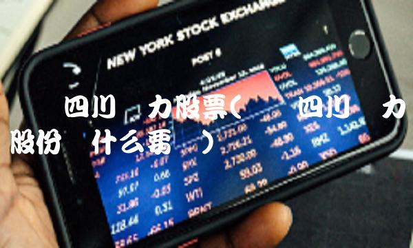 国电四川电力股票(国电四川电力股份为什么要买)