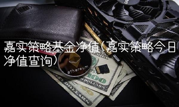 嘉实策略基金净值(嘉实策略今日净值查询)