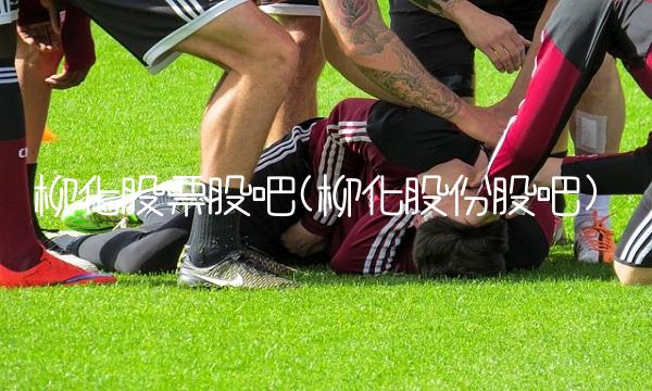 柳化股票股吧(柳化股份股吧)