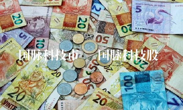 国脉科技市值 国脉科技股吧