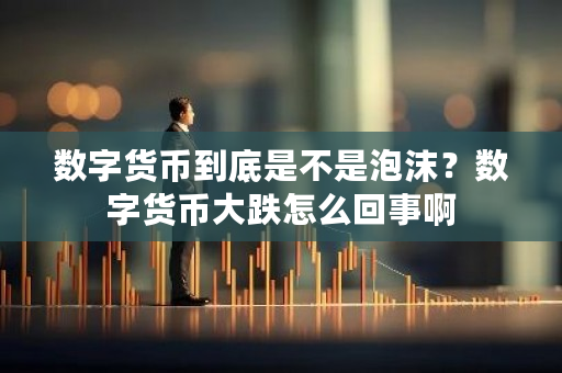 数字货币到底是不是泡沫？数字货币大跌怎么回事啊-**张图片-ZBLOG