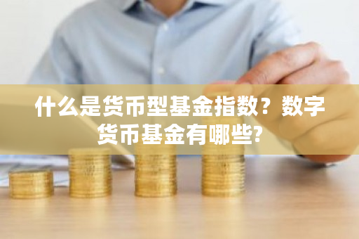 什么是货币型基金指数?数字货币基金有哪些?-**张图片-ZBLOG 什么是货币型基金指数?数字货币基金有哪些?-**张图片-ZBLOG
