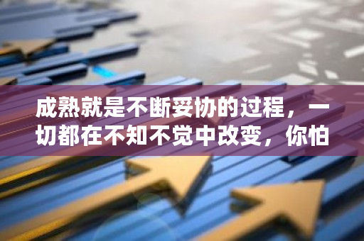 成熟就是不断妥协的过程，一切都在不知不觉中改变，你怕了吗？妥协和交易区别-**张图片-ZBLOG