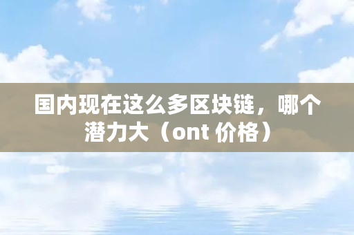 **现在这么多区块链，哪个潜力大（ont 价格）