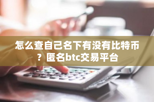 怎么查自己名下有没有比特币？匿名btc交易平台-**张图片-ZBLOG
