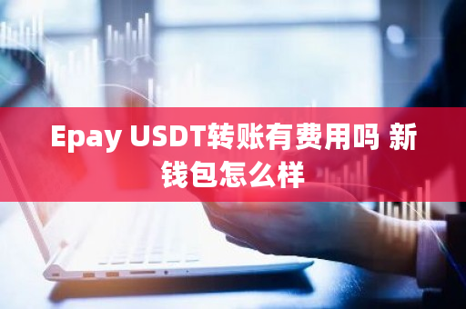 Epay USDT转账有费用吗 新钱包怎么样