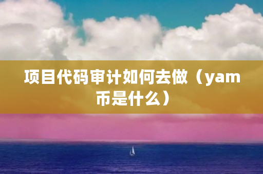项目代码审计如何去做（yam币是什么）