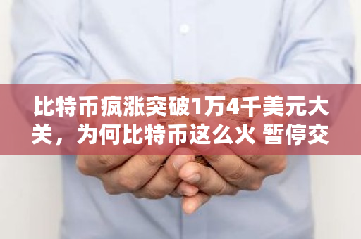 比特币疯涨突破1万4千美元大关，为何比特币这么火 暂停交易渠道是什么