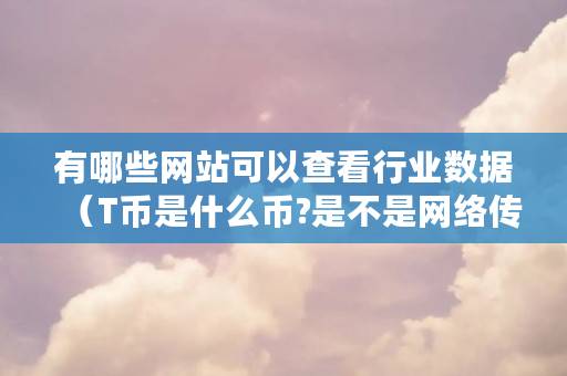 有哪些网站可以查看行业数据（T币是什么币?是不是网络**）