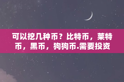 可以挖几种币？比特币，莱特币，黑币，狗狗币.需要投资吗（黑币是什么意思）