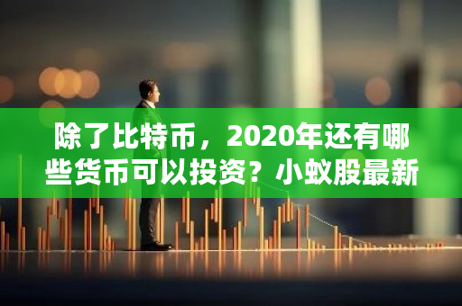 除了比特币，2020年还有哪些货币可以投资？小蚁股**价格-**张图片-ZBLOG