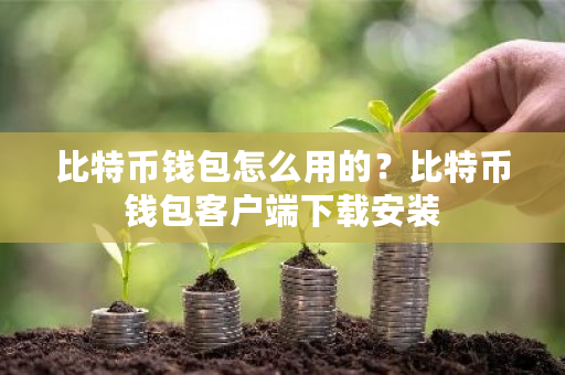 比特币钱包怎么用的？比特币钱包客户端下载安装-**张图片-ZBLOG