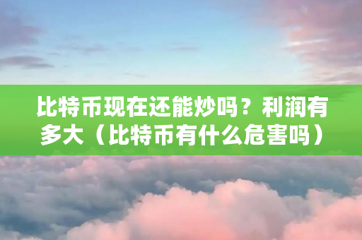 比特币现在还能炒吗？利润有多大（比特币有什么危害吗）