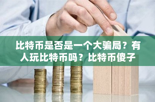 比特币是否是一个大**？有人玩比特币吗？比特币傻子-**张图片-ZBLOG