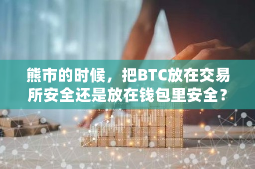 熊市的时候,把BTC放在交易所安全还是放在钱包里安全?对此你怎么看?开源交易钱包安全吗-**张图片-ZBLOG 熊市的时候,把BTC放在交易所安全还是放在钱包里安全?对此你怎么看?开源交易钱包安全吗-**张图片-ZBLOG