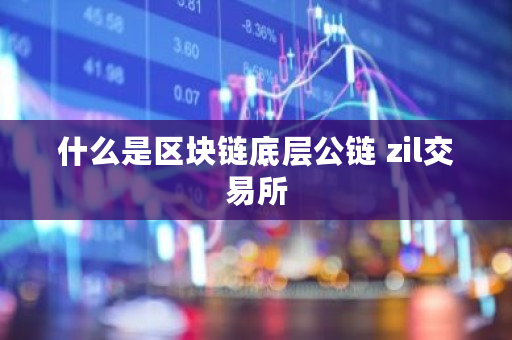 什么是区块链底层公链 zil交易所