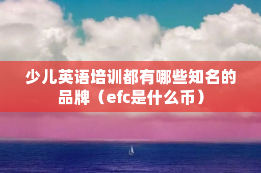 少儿英语培训都有哪些知名的品牌（efc是什么币）