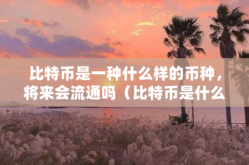 比特币是一种什么样的币种，将来会流通吗（比特币是什么样子照片）