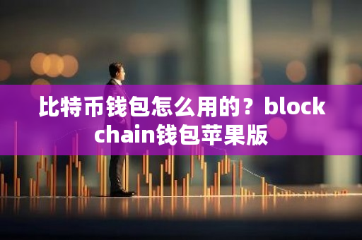 比特币钱包怎么用的？blockchain钱包苹果版-**张图片-ZBLOG
