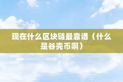 现在什么区块链最靠谱（什么是谷壳币啊）