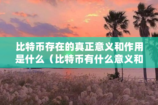 比特币存在的真正意义和作用是什么(比特币有什么意义和价值) 比特币存在的真正意义和作用是什么(比特币有什么意义和价值)