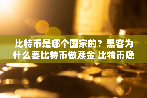 比特币是哪个**的？黑客为什么要比特币做赎金 比特币隐匿性