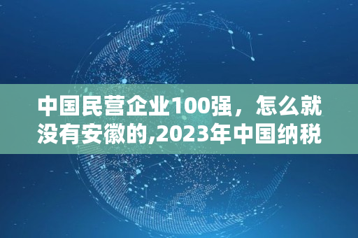 **民营企业100强，怎么就没有安徽的,2023年**纳税企业排行榜
