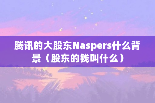 腾讯的大股东Naspers什么背景（股东的钱叫什么）