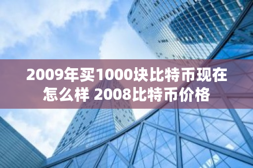 2009年买1000块比特币现在怎么样 2008比特币价格