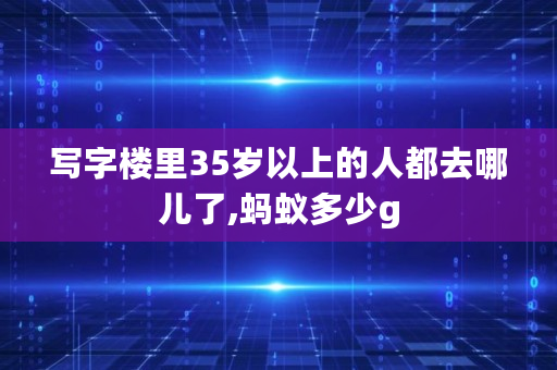 写字楼里35岁以上的人都去哪儿了,蚂蚁多少g 写字楼里35岁以上的人都去哪儿了,蚂蚁多少g