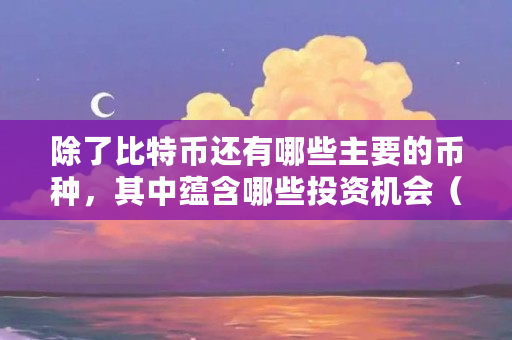 除了比特币还有哪些主要的币种，其中蕴含哪些投资机会（还有什么币可以投资的）