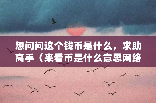 想问问这个钱币是什么，求助高手（来看币是什么意思网络用语）