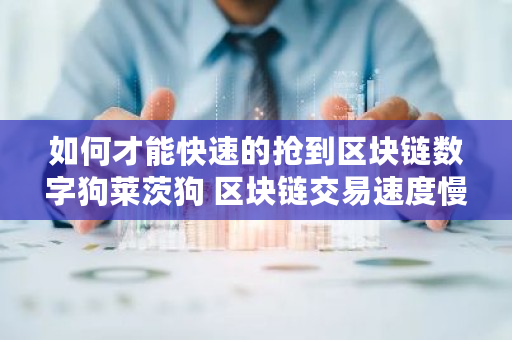 如何才能快速的抢到区块链数字狗莱茨狗 区块链交易速度慢