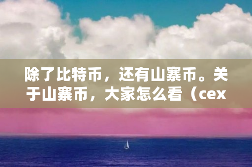 除了比特币，还有山寨币。关于山寨币，大家怎么看（cex平台怎么样）