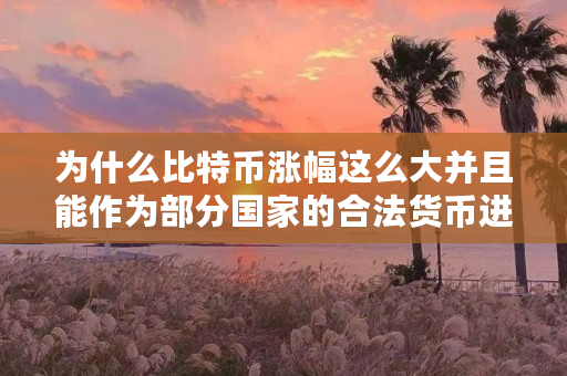 为什么比特币涨幅这么大并且能作为部分**的合法货币进行流通(比特币为什么可以挖出来) 为什么比特币涨幅这么大并且能作为部分**的合法货币进行流通(比特币为什么可以挖出来)