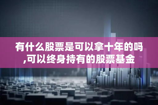 有什么股票是可以拿十年的吗,可以终身持有的股票<a href=https://www.globetech.com.cn/wen/ target=_blank class=infotextkey>基金</a>
