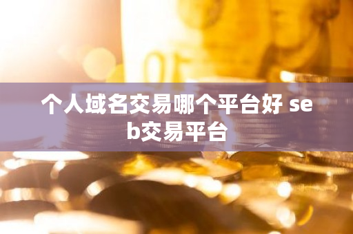 个人域名交易哪个平台好 seb交易平台