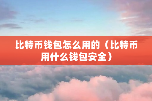 比特币钱包怎么用的（比特币用什么钱包安全）