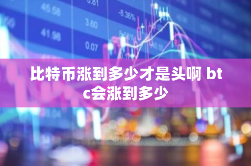 比特币涨到多少才是头啊 btc会涨到多少