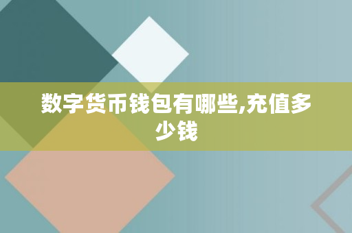 数字货币钱包有哪些,充值多少钱