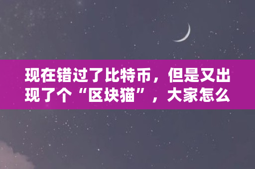 现在错过了比特币，但是又出现了个“区块猫”，大家怎么看（cbec是什么币）