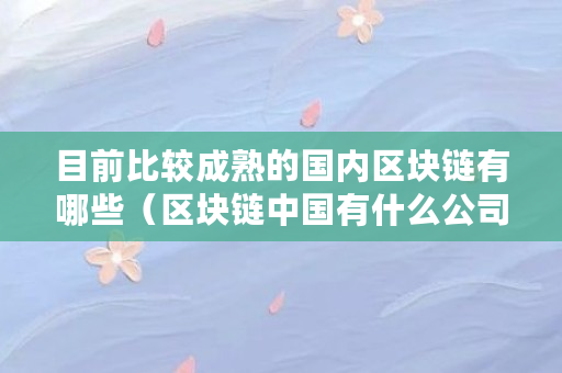 目前比较成熟的**区块链有哪些（区块链**有什么公司）