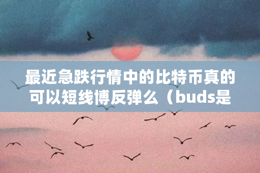 最近急跌行情中的比特币真的可以短线博反弹么（buds是什么意思中文）