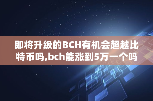 即将升级的BCH有机会超越比特币吗,bch能涨到5万一个吗
