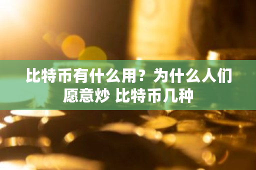 比特币有什么用？为什么人们愿意炒 比特币几种