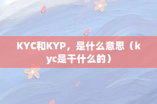 KYC和KYP，是什么意思（kyc是干什么的）