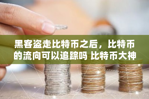 黑客盗走比特币之后，比特币的流向可以追踪吗 比特币大神孙泽宇