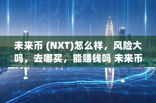 未来币 (NXT)怎么样，风险大吗，去哪买，能赚钱吗 未来币**价格
