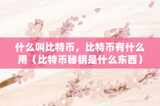什么叫比特币，比特币有什么用（比特币秘钥是什么东西）