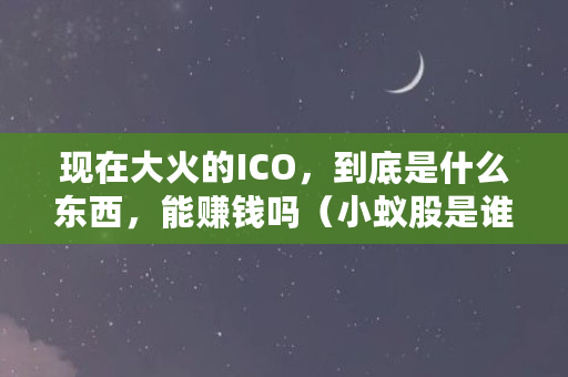现在大火的ICO，到底是什么东西，能赚钱吗（小蚁股是谁发行的）